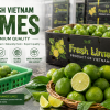 Limes